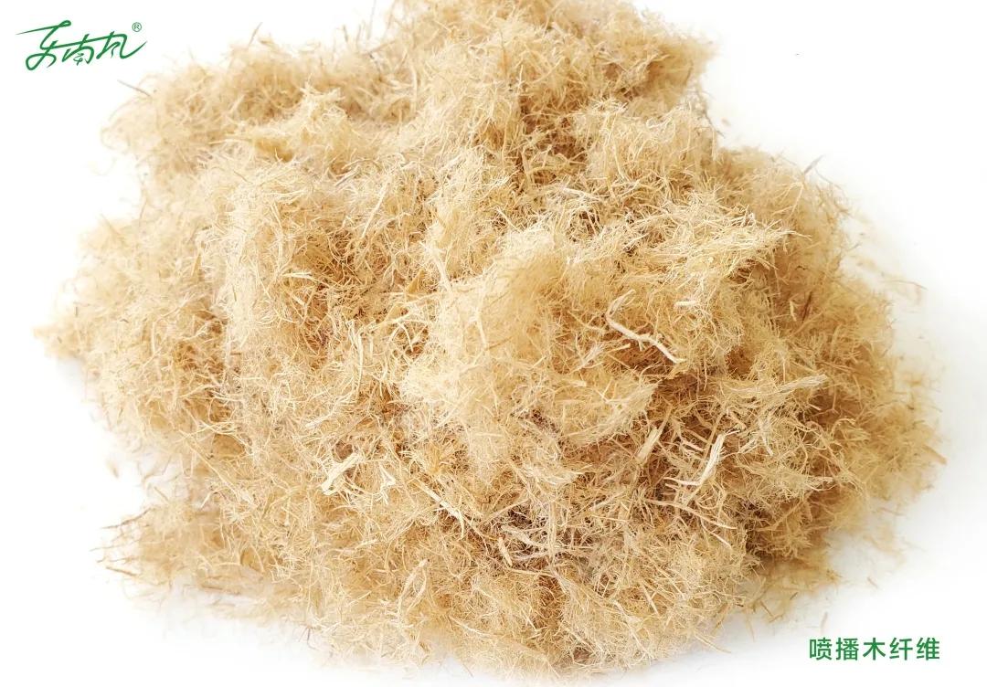 木质纤维是什么