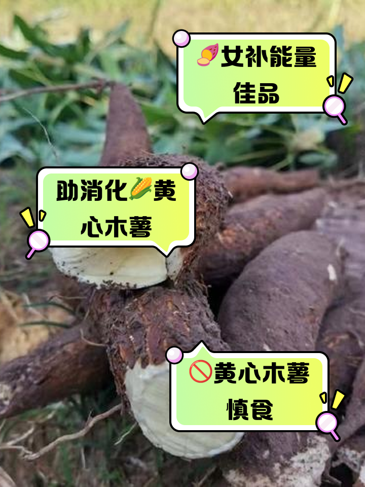 木薯淀粉的好处和害处有哪些