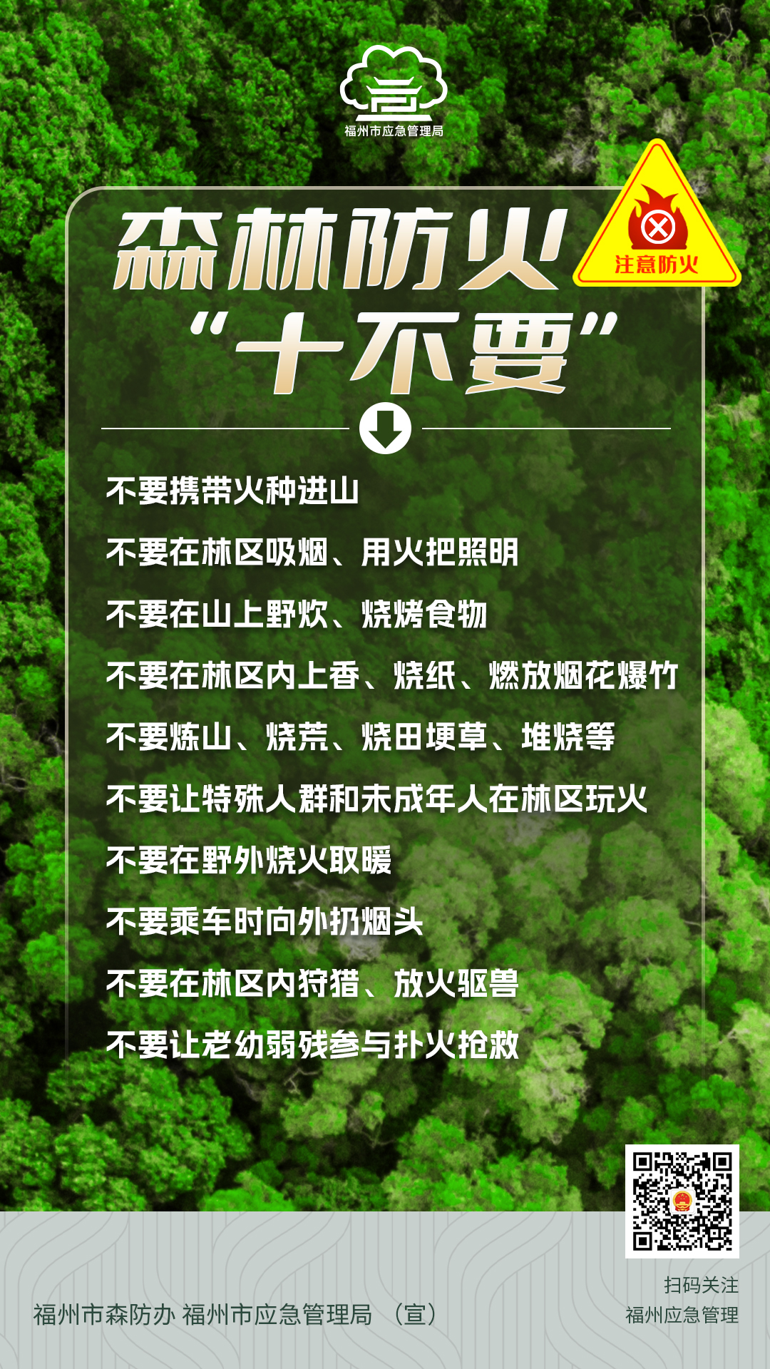 全国十大典型森林火灾案例