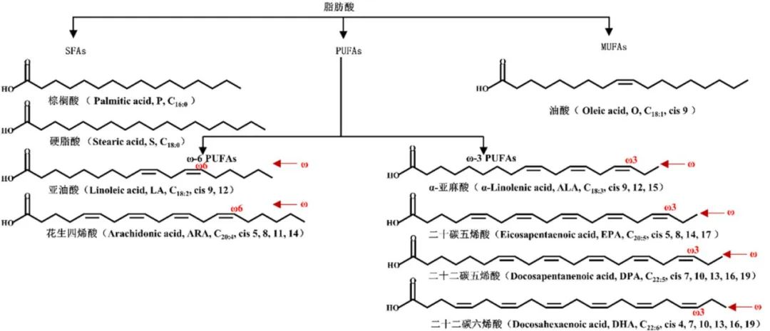 羟乙纤维素结构特点